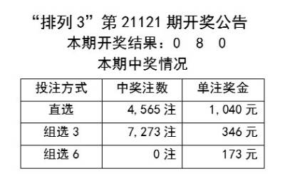 新澳2024今晚開獎資料四不像，探索彩票背后的神秘面紗