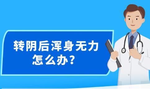 新澳精準(zhǔn)資料免費(fèi)提供，探索第265期的奧秘與價(jià)值