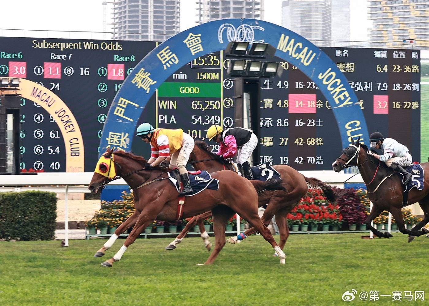 探索澳門特馬，今晚2024年澳門特馬開彩的奧秘與期待