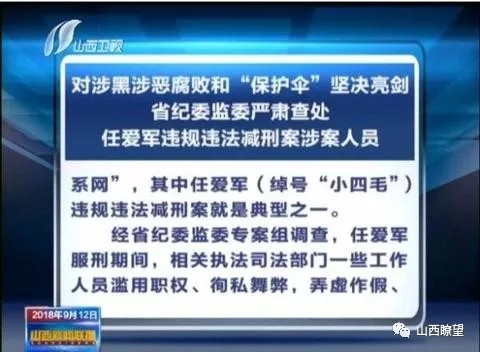 澳門(mén)正版資料免費(fèi)大全新聞——揭示違法犯罪問(wèn)題的重要性