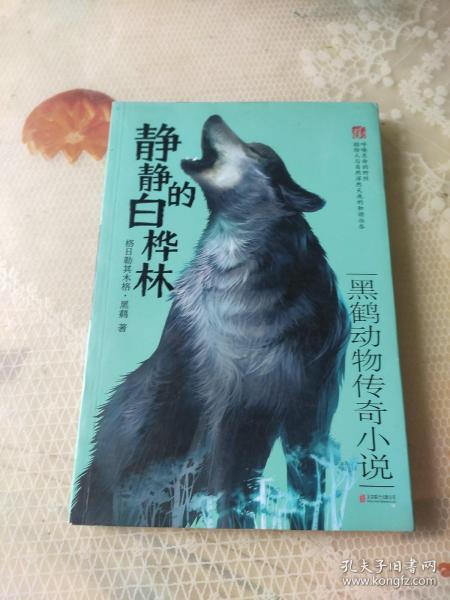 四不像正版與正版四不像，探究正版內(nèi)容的多元形態(tài)