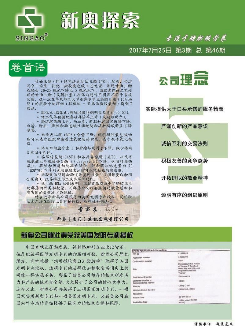 新澳2024年精準(zhǔn)正版資料，探索未來之門的秘密鑰匙