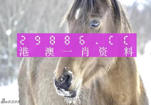 澳門(mén)一肖一碼100%精準(zhǔn)一，揭示背后的風(fēng)險(xiǎn)與挑戰(zhàn)