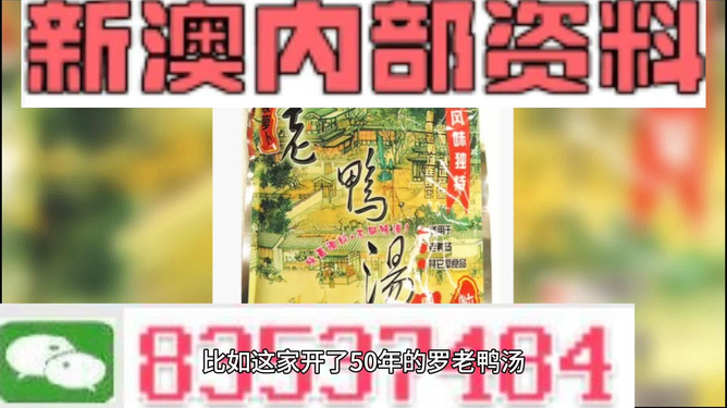 關(guān)于新澳正版資料與內(nèi)部資料的探討，揭示背后的違法犯罪問(wèn)題