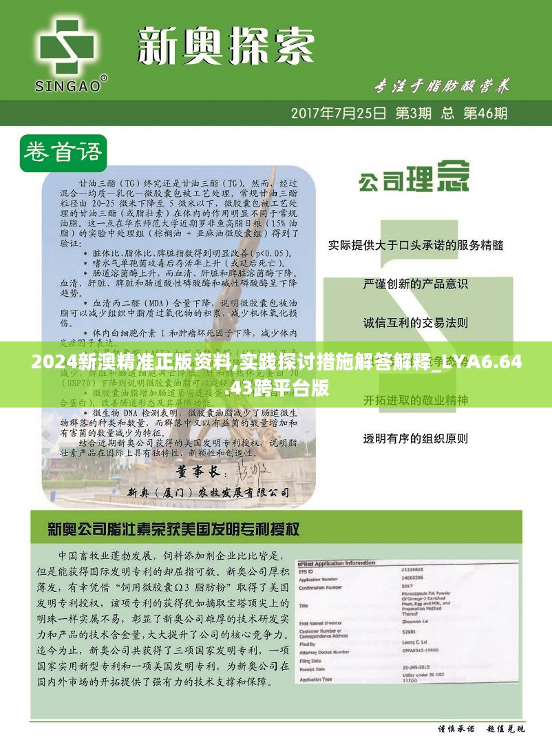 新澳2024年最新版資料|孜孜釋義解釋落實,新澳2024年最新版資料與孜孜釋義解釋落實深度探討