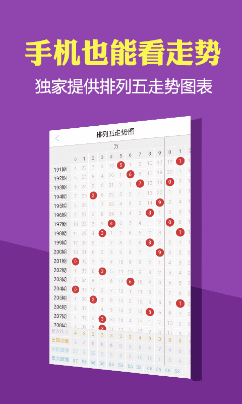 2024年12月11日 第28頁