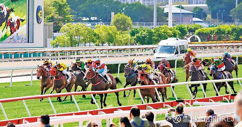 探索香港賽馬，2024全年免費(fèi)資料與穩(wěn)妥解答解釋落實(shí)之路