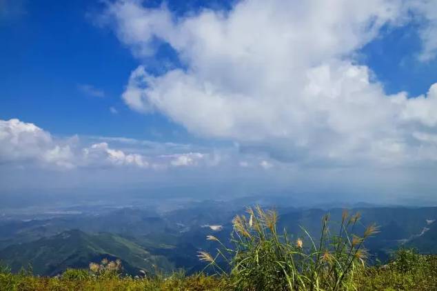 黃大仙精選正版資料的優(yōu)勢與動態(tài)調(diào)整策略執(zhí)行的探討——典藏版315.167.985.83