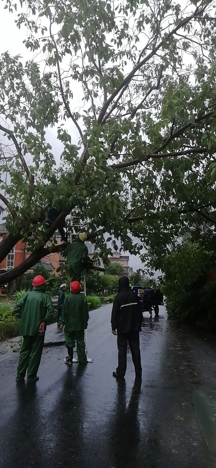 丹東遭遇最新臺(tái)風(fēng)，風(fēng)雨中的堅(jiān)守與應(yīng)對(duì)