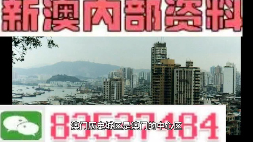 2024年12月25日 第31頁