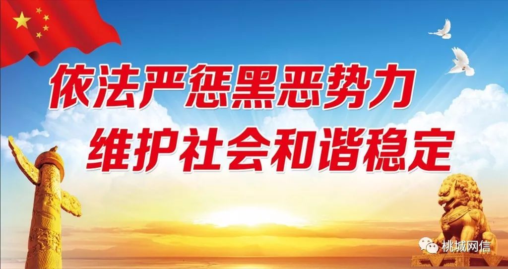 澳門資料大全正版資清風，揭示違法犯罪問題的重要性與應(yīng)對之策