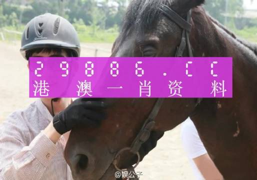 澳門(mén)一肖一碼一必中一肖，揭示背后的真相與警示