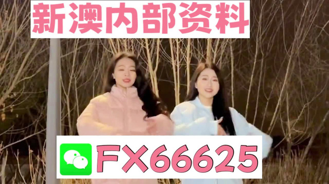 管家婆最準(zhǔn)一碼一肖，揭秘彩票背后的秘密與期待（第9387期）