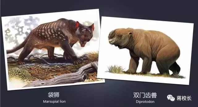 新澳2024今晚開(kāi)獎(jiǎng)資料四不像，探索彩票背后的神秘世界