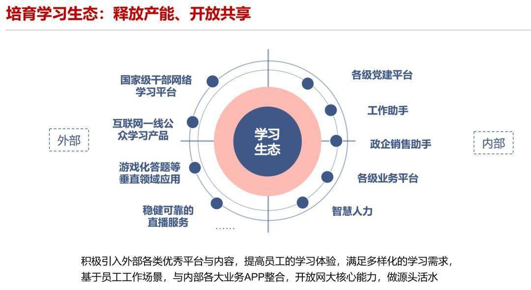 新門內(nèi)部資料精準(zhǔn)大全，深度探索與解析