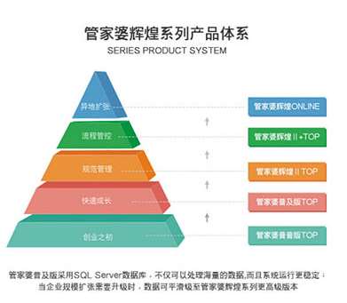 新澳門管家婆一句，揭示背后的智慧與奧秘