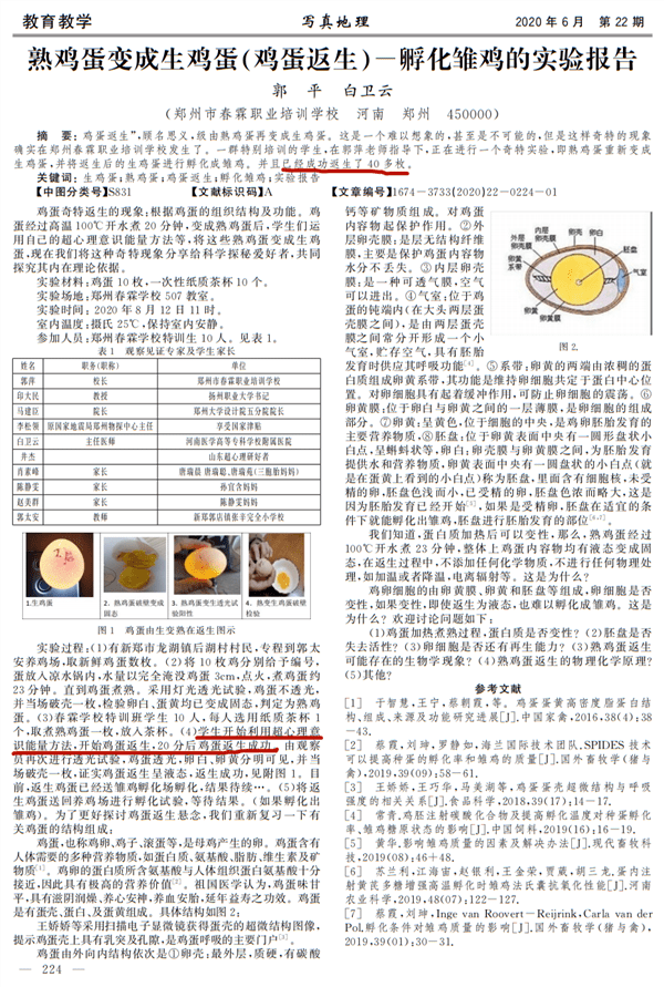 香港單雙資料免費公開，探索與啟示