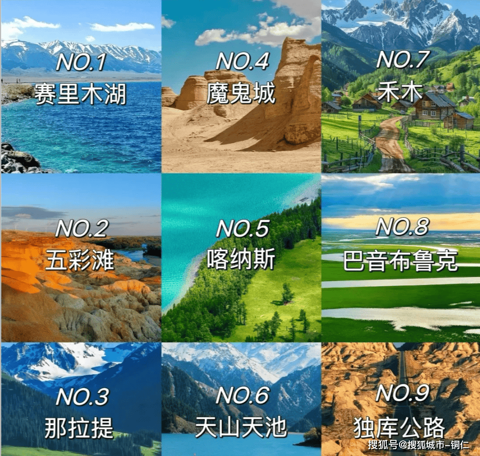 澳門最精準(zhǔn)免費(fèi)資料大全與旅游團(tuán)，探索澳門之旅的完美指南