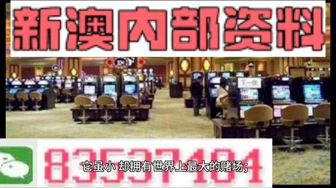 新澳2024大全正版免費(fèi)，探索未來的彩票世界